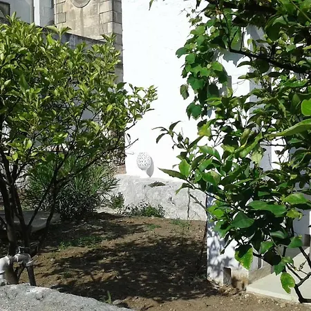 Il Giardino Di Ostuni
